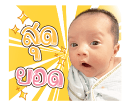 369427213
