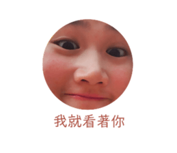 369494577
