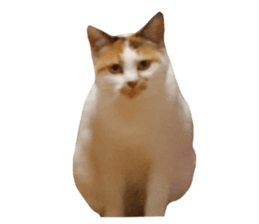 369496889