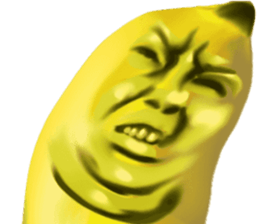 369537979