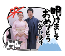 369575816