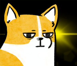 369653651
