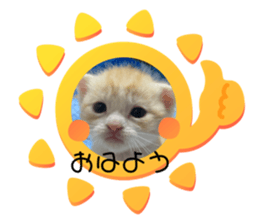 369704450