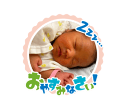 369803075