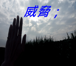 369897277