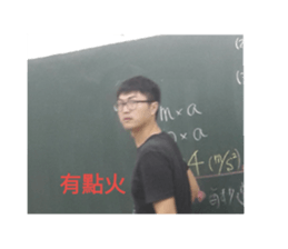 36990033