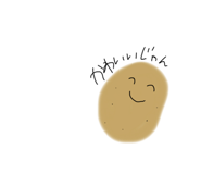 369906005