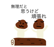 369906009