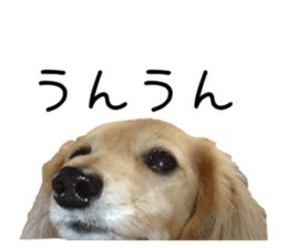 36992594