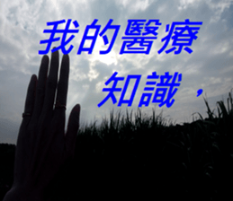 369954416