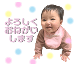 369962272