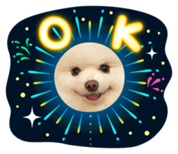 369968386