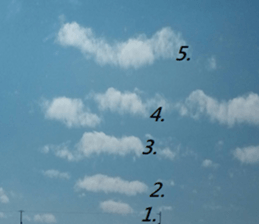 369972006