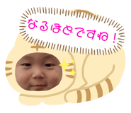 369987043