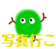 369989636