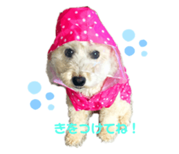 369990084