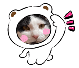 369990916
