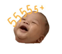 370049217