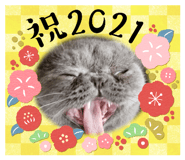 370154957
