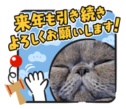 370154962