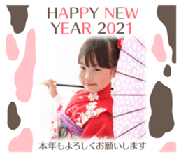 370204691