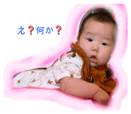 370205912