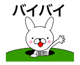37032412