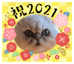370325510