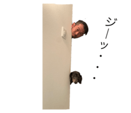 370331326