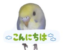 370465712