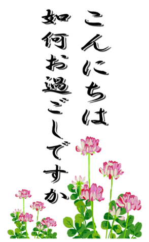370474023