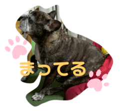 370476786