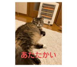 370558006