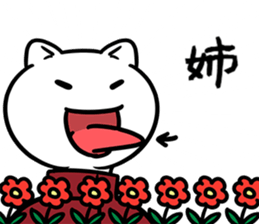 37057647