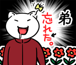 37057725
