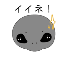 370646943