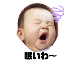 370663050