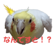 370865830