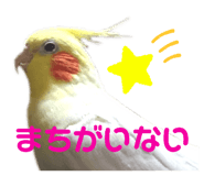 370865833
