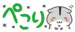 370874897