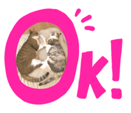 370889130