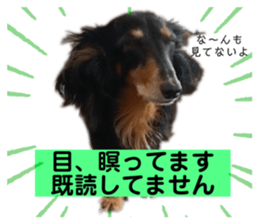 370950199