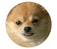 370970159