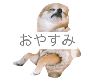 370970162