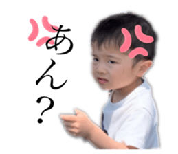 371077584