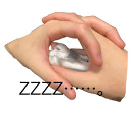 371151592