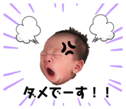 371181538