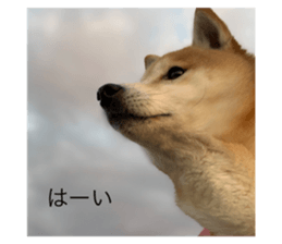 371189231