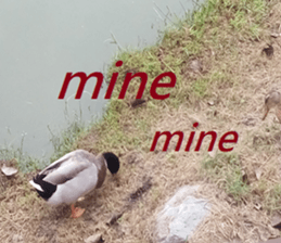 371245218