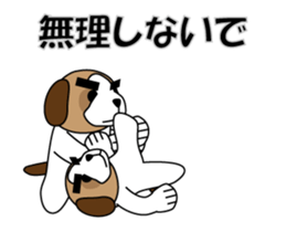 371286981